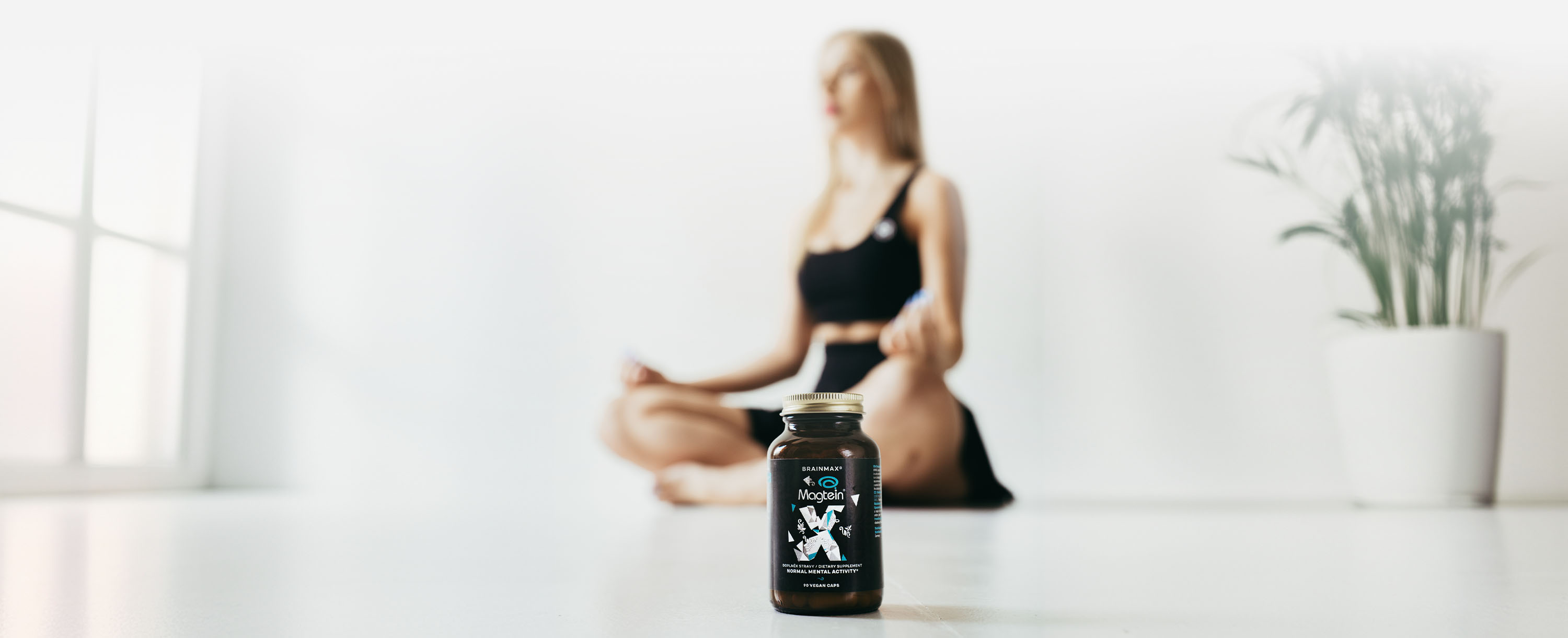 magtein prvni blok grafika web